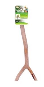 Penn Plax Y Shaped Wooden Bird Perch, B0002DIV7Y
