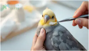 proper feather removal technique proper feather removal technique