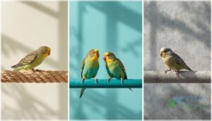 pros and cons of rope, plastic, and concrete pros and cons of rope, plastic, and concrete