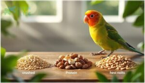 protein, fats, and carbohydrates needs protein, fats, and carbohydrates needs