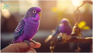 purple parakeet temperament and behavior purple parakeet temperament and behavior