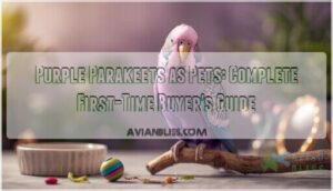 purple parakeets as pets a complete guide for first time buyers purple parakeets as pets a complete guide for first time buyers