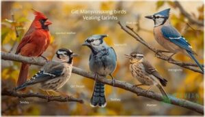 recognizing common visual features recognizing common visual features