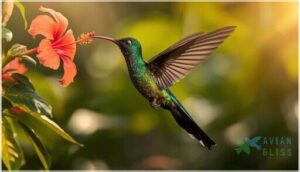 red-billed streamertail red-billed streamertail