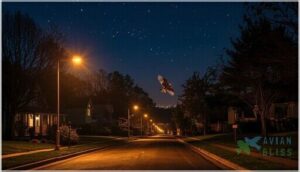 reducing light and noise pollution reducing light and noise pollution