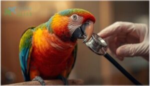 respiratory signs and systemic symptoms respiratory signs and systemic symptoms