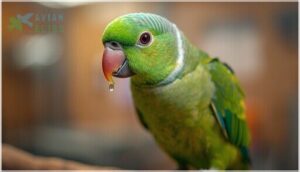 respiratory symptoms (nasal/eye discharge, labored breathing) respiratory symptoms (nasal/eye discharge, labored breathing)