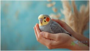 safely restraining your cockatiel safely restraining your cockatiel