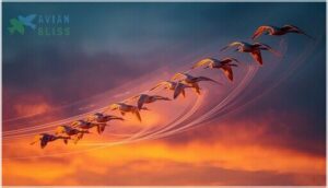 scientific insights into v formation flight scientific insights into v formation flight