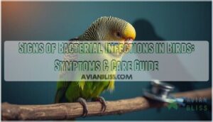 signs of bacterial infections in birds signs of bacterial infections in birds
