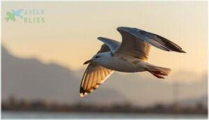 size and body features size and body features