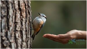 size, weight, and shape size, weight, and shape