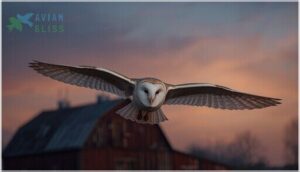 size, weight, and wingspan size, weight, and wingspan