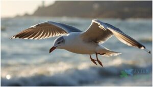 size, wingspan, and build size, wingspan, and build