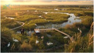 strategies for sustainable conservation funding strategies for sustainable conservation funding