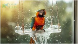 swinging and window-mounted perches swinging and window-mounted perches