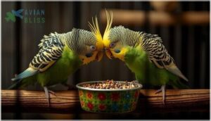 territorial or dominance behavior territorial or dominance behavior