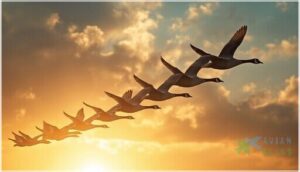 the role of leadership and teamwork the role of leadership and teamwork