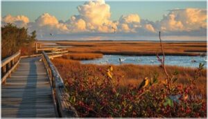 top rhode island birdwatching hotspots top rhode island birdwatching hotspots