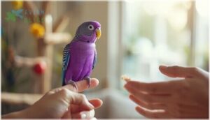 training tips for first-time owners training tips for first-time owners