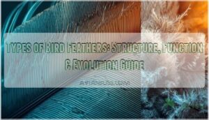 types of bird feathers types of bird feathers