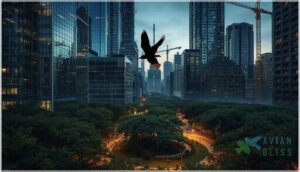 urbanization and infrastructure development urbanization and infrastructure development