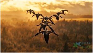 v formation and migration success v formation and migration success