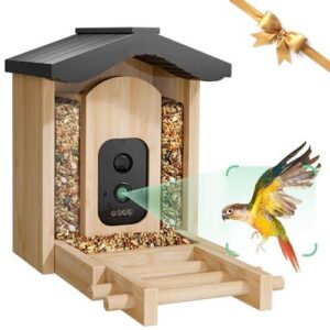 VISIOGEAR Bird Feeder with Camera, B0DF1V54GJ