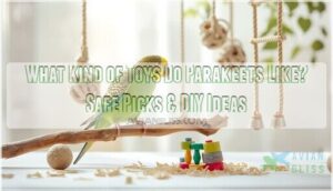 what kind of toys do parakeets like to play with what kind of toys do parakeets like to play with