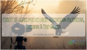 what to look for in bird cameras what to look for in bird cameras