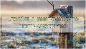 when to put up bird houses for nesting