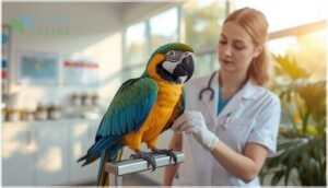 when to seek veterinary guidance when to seek veterinary guidance