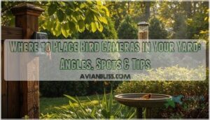 where to place bird cameras in your yard