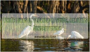 white birds in florida white birds in florida