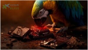 why chocolate is toxic to birds why chocolate is toxic to birds