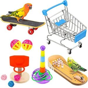 10 Bird Training Toys B093336T52