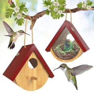 2 Pack Hummingbird House, Window B0CDW5TRCK