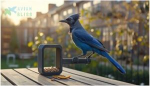 adaptation to urban areas adaptation to urban areas