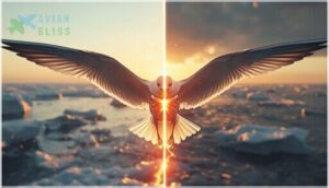 adaptations for long-distance migration adaptations for long-distance migration