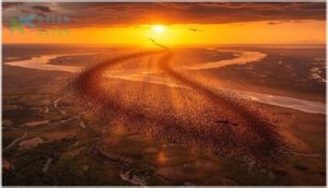 african migration corridors african migration corridors