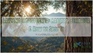 arizona woodpecker arizona woodpecker