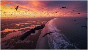 atlantic flyway overview and key species atlantic flyway overview and key species