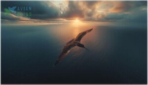 bar-tailed godwits' nonstop pacific ocean crossing bar-tailed godwits' nonstop pacific ocean crossing