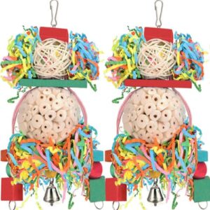 BBjinronjy Bird Toys,2PCS Hanging Natural B0CB8LYCT9