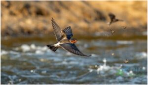 behavior and diet behavior and diet