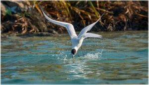 behavior, diet, and foraging behavior, diet, and foraging