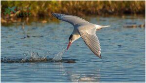 behavior, diet, and life cycle behavior, diet, and life cycle