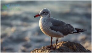 bill, legs, and size details bill, legs, and size details