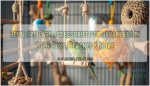 bird cage accessories for parakeets bird cage accessories for parakeets