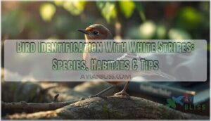 bird identification with white stripes bird identification with white stripes